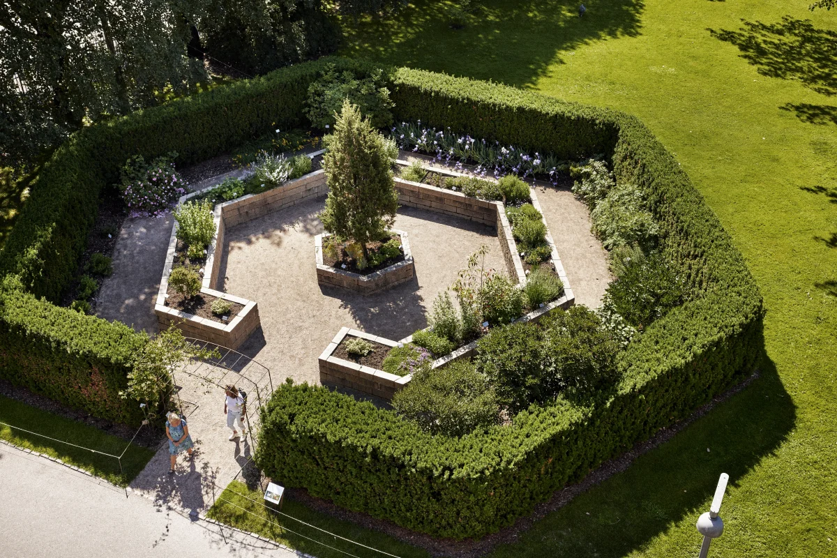 Aerial view of a Herbal Garden