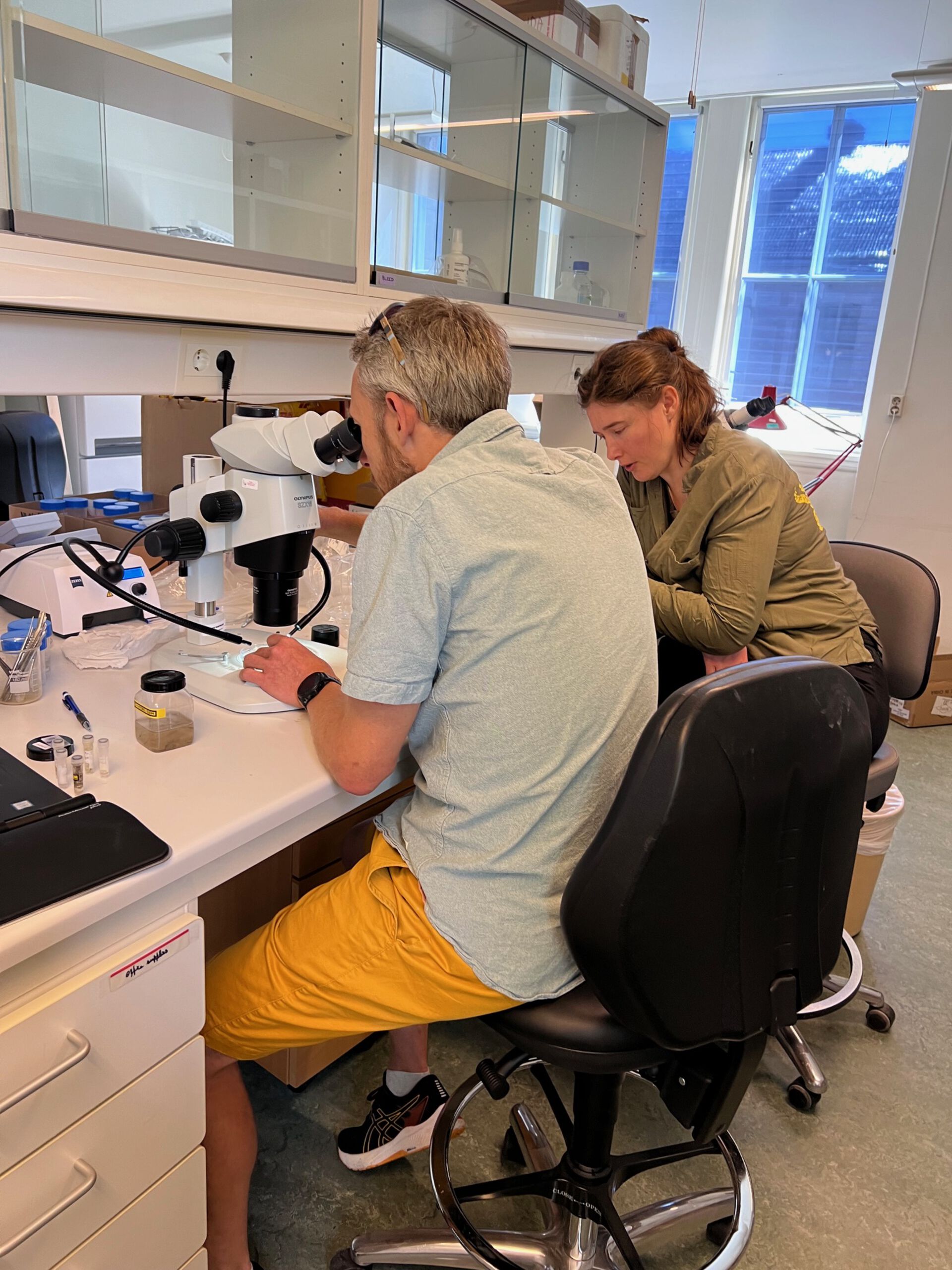 A photo of a man in a lab room looking at bryozoans under a stereo microscope and a woman next to him looking down at some bryozoan literature