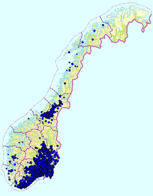 Kart over blåveisfunn i Norge. Flest funn på Østlandet og i Trøndelag