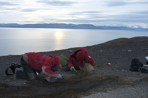 Nille og Julie ligger på kne og børster på Svalbard. 