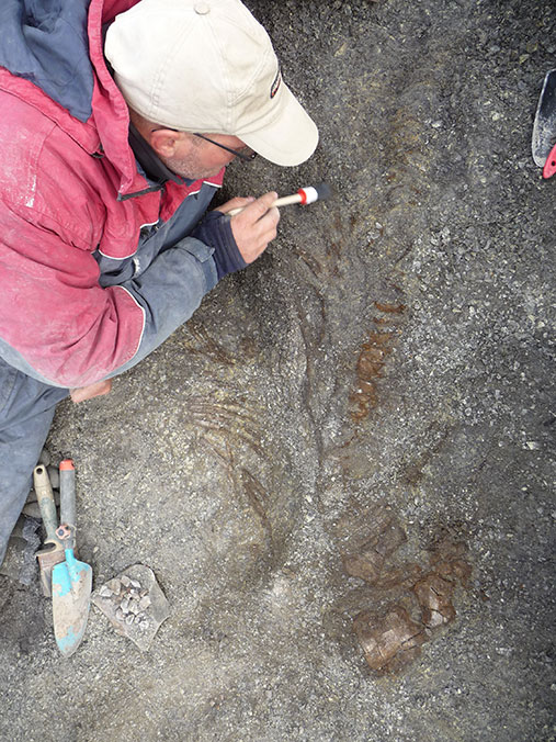 Tommy ligger på bakken ved siden av et fossil, med en liten kost i hånda