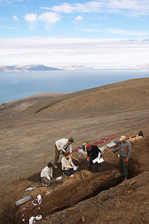 Paleontologene graver på Svalbard