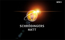 Schrödingers katt logo