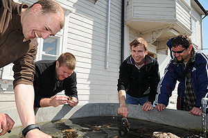 Bryozoologar studerer akvarietanken i Drøbak