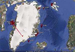 Kart som viser isbjørnenes bevegelser