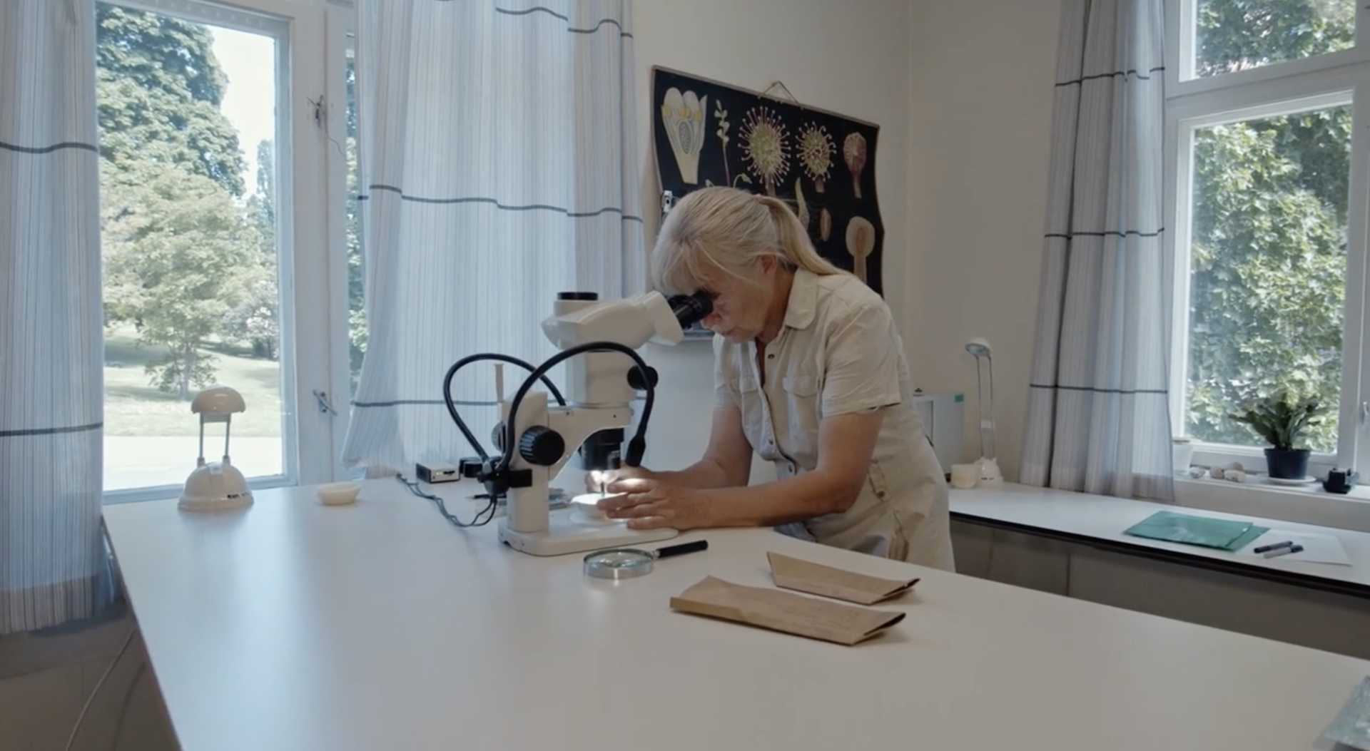 Botaniker Kristina Bjureke på frøkontoret hvor hun undersøker frø i mikroskop