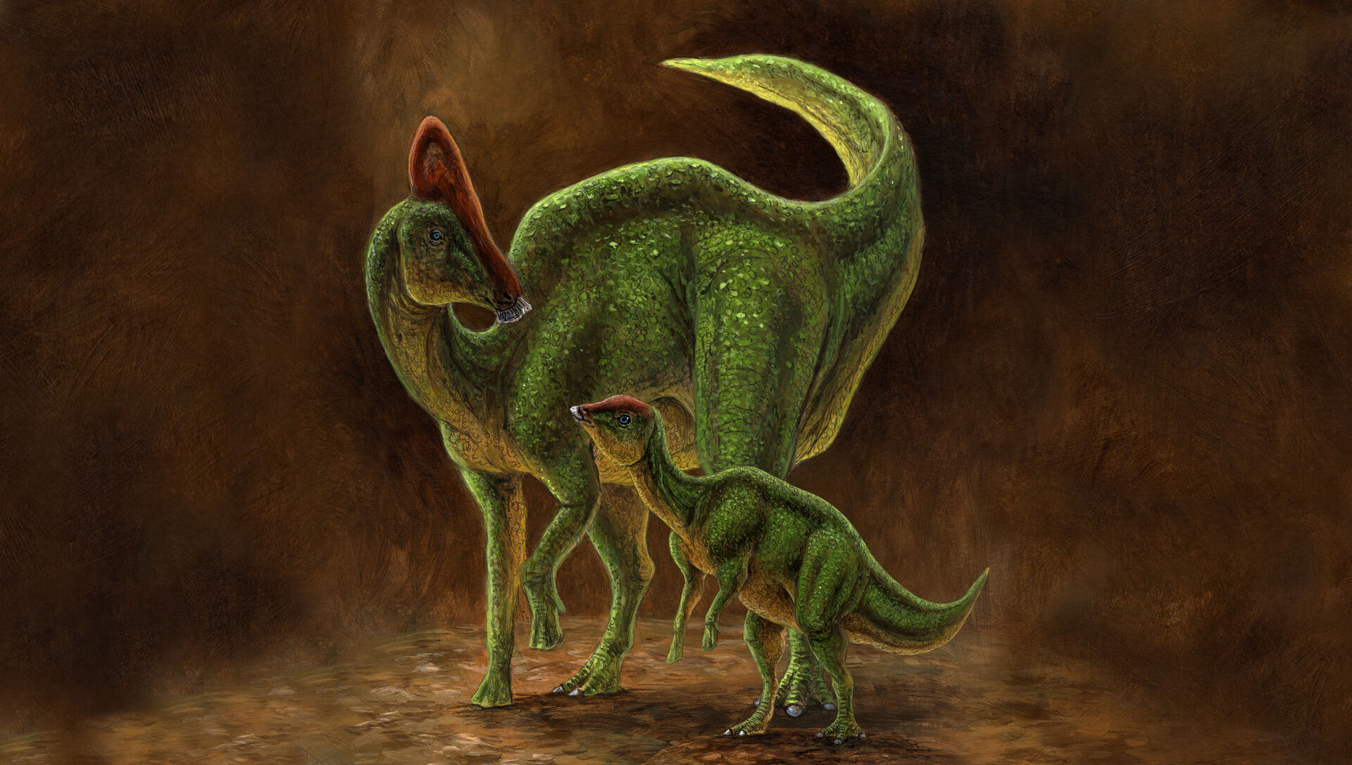 illustrasjon av to dinosaurer, en voksen og et barn av arten Hypacrosaurus