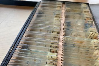 In fungi, microscopical characters are often important to identify the species. We therefore have quite a few microscope slides in our collections. On these, the microscopical characters are preserved.&amp;#160;