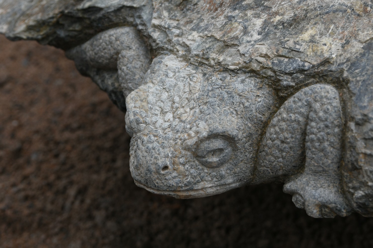 nærbilde av padde hugget ut fra kleberstein i steinhagen