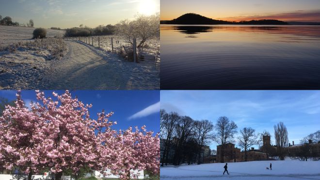 Eksempelbilder: vinter på Østensjø, Hovedøya i solnedgang sett fra Sørenga, kirsebærtre i full blomst ved Munchmuseet, Sofienbergparken dekket av snø.